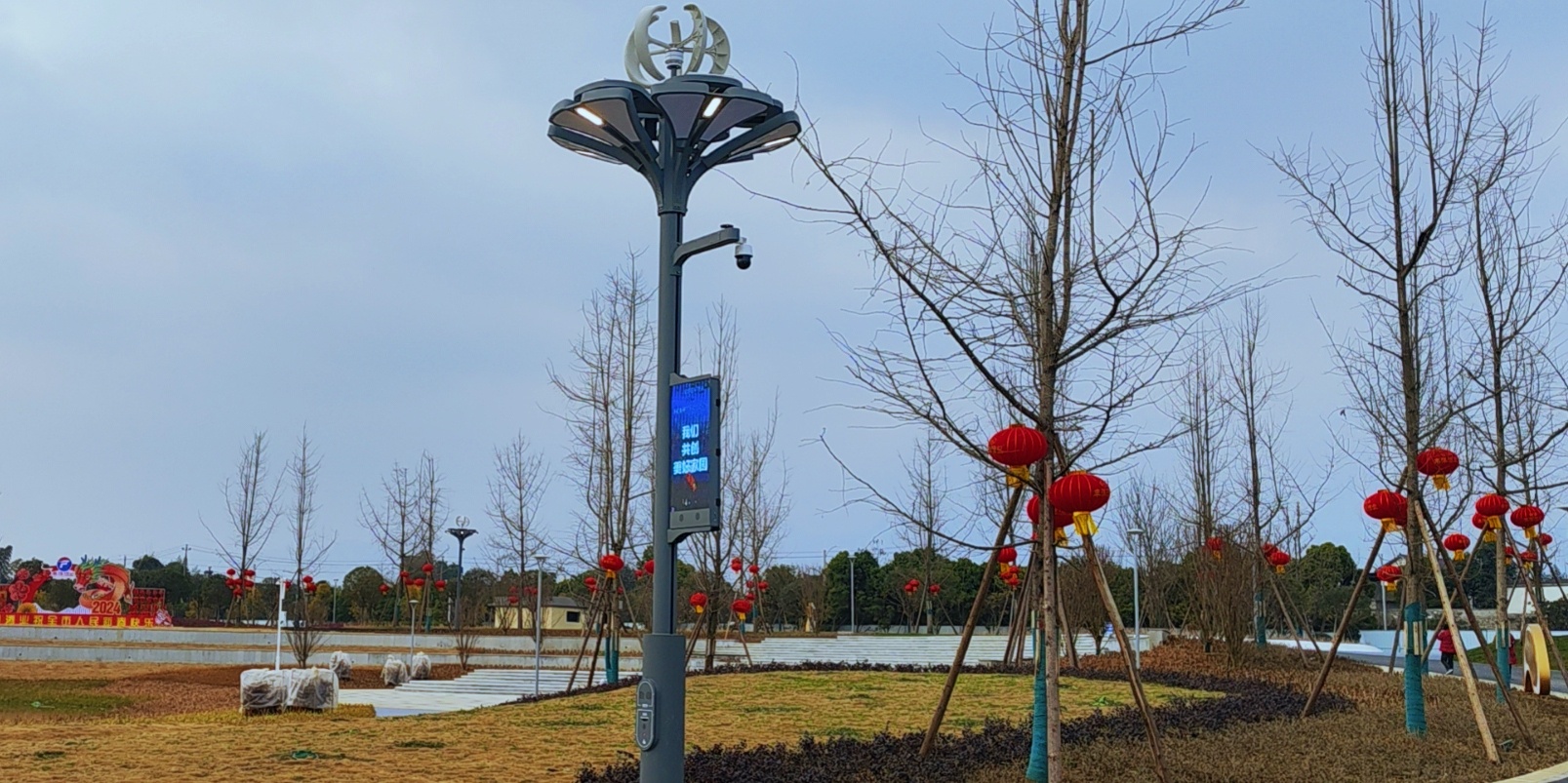 快來圍觀，種在綿竹市城北濕地公園的“智慧樹”亮燈啦